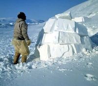 Gruppenavatar von Bevor i bei eich eiziag...bau i ma an Iglu...