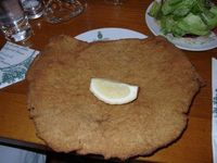 ned Schnitzelland sondan Bresselfetznland