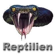 Reptilien-Halter