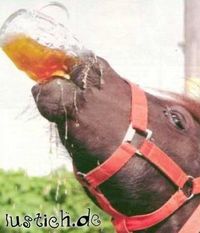 Gruppenavatar von Es trinkt der Mensch, es säuft das Pferd....heute ist es umgekehrt^^