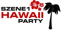 SZENE1-HAWAII-PARTY@Nightfire Partyhouse