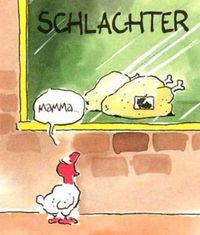 das huhn ist immer im nachteil