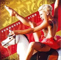 Wer geht zum P!nk Konzert am 25.3.09 in Wien?