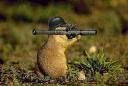 Gruppenavatar von Mein Hamster ist der perfekte Soldat