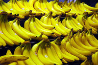 warum is de banane krumm??? i mechts echt wissn!!