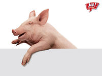 Gruppenavatar von Ich möchte wissen, wer die Stimme vom JA!Natürlich-Schwein spricht