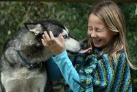 Gruppenavatar von Mehra-der quteste Husky auf der Welt