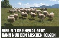 Wer mit der Herde geht, kann nur den Ärschen folgen!