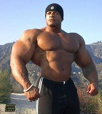 Die Bodybuilder