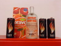 Gruppenavatar von Burning BraVodka