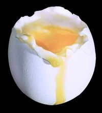 Gruppenavatar von eingeegt....egg...egg...egg,egg,egg,egg