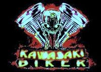 Kawasaki-Biker