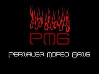 Gruppenavatar von Pernauer Moped Gang