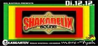 SHAKADELIX more-Fyah special@Volksgarten Clubdisco