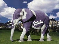 Gruppenavatar von Lindt und Milka.....the Best!