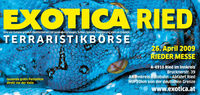 Exotica Reptilienmesse