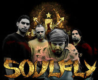 Gruppenavatar von ---> SOULFLY 4-EVER