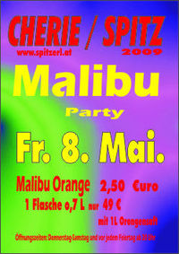 Malibu Party