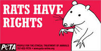 Rats also have rights!