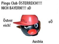 ejj Pingu was gehta ab junge?? ne net diese nutesohn schowieda machd scha wieda fete partey wirkli ey - NUTESÖÖÖN