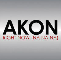 Gruppenavatar von Akon - Right Now(Na Na Na)