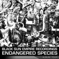 Gruppenavatar von Black Sun Empire