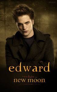 Ich will keinen Bodyguard, ich will einen Edward Cullen