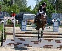 Union Reitclub Wels-Thalheim Springtunier 09@Reitplatz-Rosenau