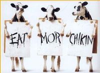 Gruppenavatar von eat_more_chikin