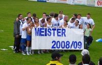 SK BW Stadl-Paura Meister 2008/2009
