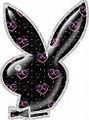 Gruppenavatar von i love  PLaYbOY