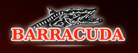 Barracuda