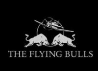 FlyinG BuLLs....