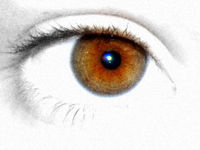 Gruppenavatar von big brown eyes san geil!!!!!!!!!!!!!!!!!