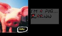 miau..---> i&#39;m a Pig..rawrrr..