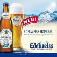 Die Edelweiss - Trinker  - Gruppe