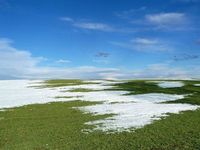 Gruppenavatar von !! wenn der schnee schmieLzt , kann man sehen wo die kake liegT !!