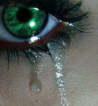 Tränen sind die BESTEN Freunde.......    Sie kommen wen dich andere schon längst verlassen haben!!!!