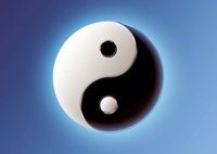 °°°YING YANG°°°