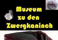 MUSEUM zu den ZWERGKANINCHEN