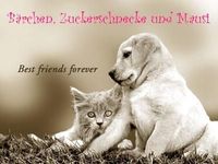 Gruppenavatar von BÄrchEN, MAuSi & zuCkErscHNEckE--►BeSt frIenDs 4 eVeR