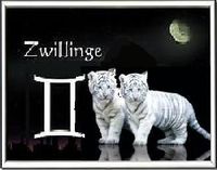 ღ♡ღIch liebe es ein ZWILLING zu seinღ♡ღ