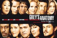 Gruppenavatar von Gray&#39;s Anatomy is de coolse Serie der Welt