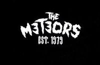 ONLY THE M3T3ORS ARE PURE PSYCHOBILLY!!!