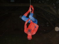 Gruppenavatar von SPIDERMAN