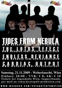 Tides From Nebula@Weberknecht