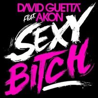 David Guetta ft. Akon---Sexy Bitch