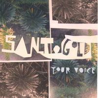 santigold