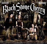 BlackStoneCherry ... great southern rock !