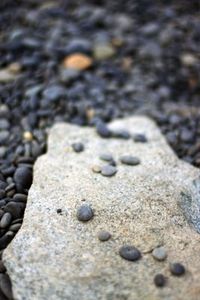 Gruppenavatar von Sind wir nicht alle etwas melancholisch?